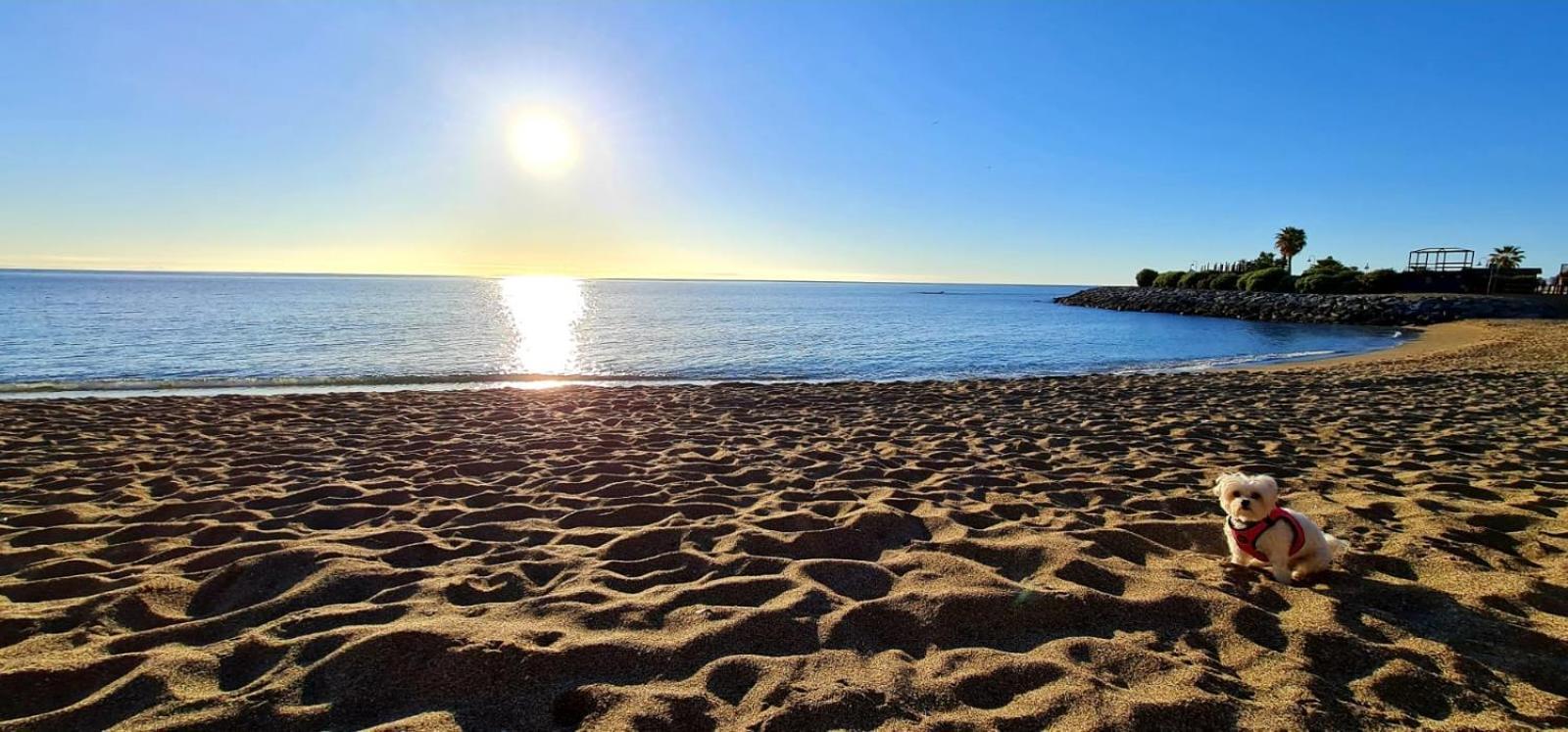Apartamentos Magic Benalbeach By Benalnova بينالماذينا المظهر الخارجي الصورة